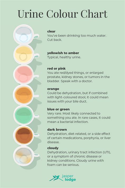 Urine color chart: Healthy colors and when to seek help